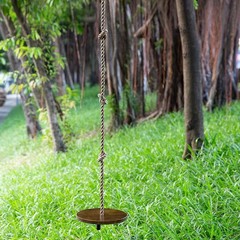 Wooden Round Disc Tree Swing Adjustable 51″-73″ Climbing Rope for Kids Outdoor