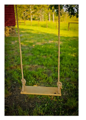 Adventure Parks Classic Maple Swing Backyard Tree Swing Day Care Play Retro