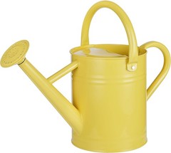 Stdemarzo 1 Gallon Galvanized Steel Watering Can with Removable Spout