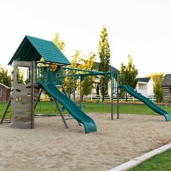 New Lifetime Big Stuff Deluxe Swing Set + 2 Slides, Monkey Bars Outdoor Kids Fun