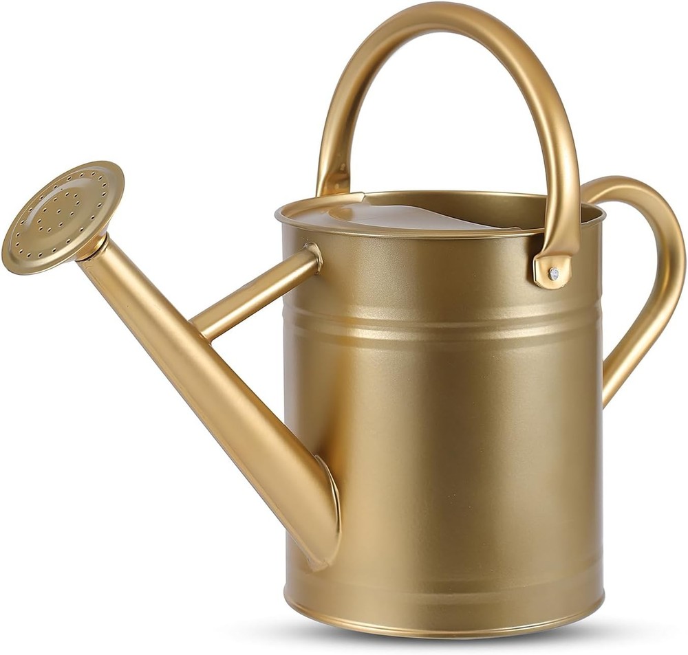 Stdemarzo 1 Gallon Galvanized Steel Watering Can with Removable Spout