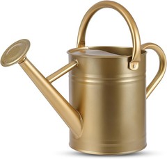 Stdemarzo 1 Gallon Galvanized Steel Watering Can with Removable Spout