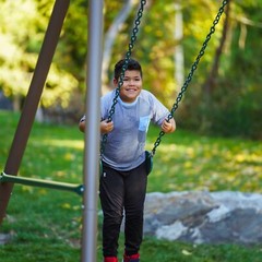 Lifetime 91137 9 Ft A-Frame Metal Swing Set Earthtone Kids Outdoor Playground