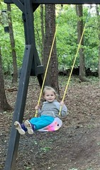 Firefly LED Light Up Swing Seat with Adjustable Rope and Chain. 24 Lights Ill…