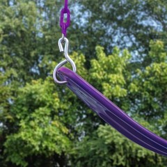 Extreme-Duty Plum Belt Swing with Purple Chains