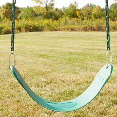 Green Regular Duty Swing Seat