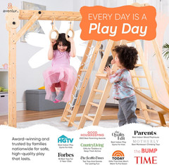 8-In-1 Indoor Play Gym – Toddler Jungle Gym for Kids Ages 2–6 – Indoor Playgroun