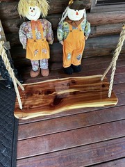 Unique Red Cedar Live Edge Wood Tree Swing With Handspliced Rope