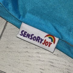 Sensory Joy Turquoise Therapy Swing Autism Special Needs NO HARDWARE