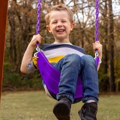 Extreme-Duty Plum Belt Swing with Purple Chains