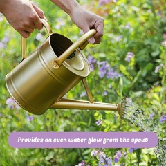 Stdemarzo 1 Gallon Galvanized Steel Watering Can with Removable Spout
