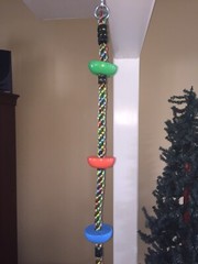 Jungle Gym Kingdom Tree Swing Climbing Rope Platforms Disc Back Yard Home