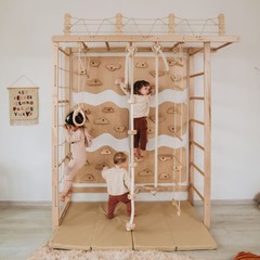 Climbing Monkey Bars Kids Jungle Gym Monkey Bar Climber Home Playground Indoor