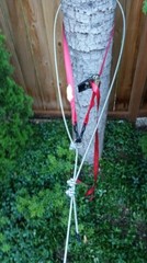 125′ Zip Line Kit, Trolley, Cable Ride, High Quality Zipline, Made in USA!