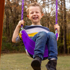 Extreme-Duty Plum Belt Swing with Purple Chains