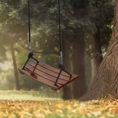 Solid Wood Swing One Seat Simple Swing Outdoor Rope Swing for Kids Adults Yard