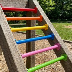 16.5 Inch Monkey Bars Kit for Backyard Outdoor Indoor Ladder Rungs Monkey Bars F