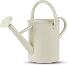 Stdemarzo 1 Gallon Galvanized Steel Watering Can with Removable Spout