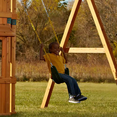Swing N Slide Heavy Duty Swing Seat with 250 lb. capacity Free Shipping