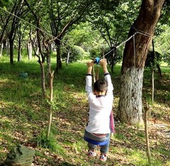 X XBEN Zip line Kits for Backyard, Zip Lines for Kid and Adult, Included Swin