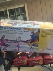 Teeter-go-round