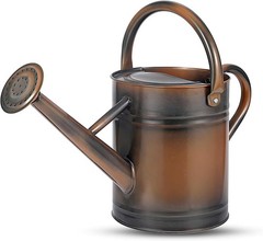 Stdemarzo 1 Gallon Galvanized Steel Watering Can with Removable Spout