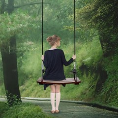 Solid Wood Swing One Seat Simple Swing Outdoor Rope Swing for Kids Adults Yard