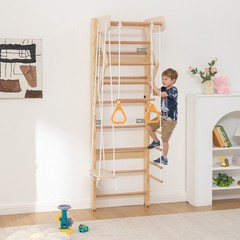 6-in-1 Swedish Ladder Wall Gym – Swing, Rope Ladder, Pull-Up Bar & More