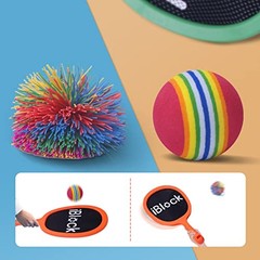 Paddles and Bouncy Balls Set for Kids or Adults’ Indoor Outdoor Portable