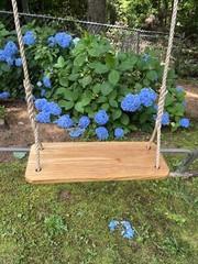 Pine Wood Tree Swing-Wood Tree Swing with 10 Feet Of rope Each Side