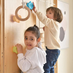 Walnut 9-in-1 Swedish Ladder Wall Gym Set for Home Fitness and Fun