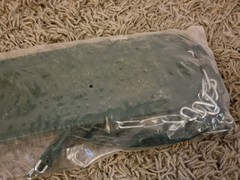 Swing-N-Slide Swing Seat with Chain Green