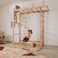 Climbing Monkey Bars Kids Jungle Gym Monkey Bar Climber Home Playground Indoor