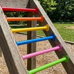 16.5 inch Monkey Bars Kit for Backyard Outdoor Indoor Ladder Rungs