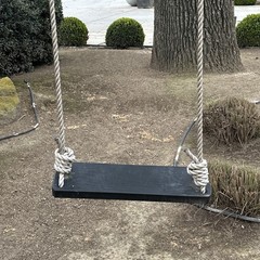 Black Stained Wooden Classic Bench Swing