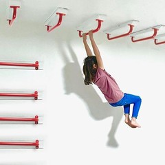 17.3 Inch Safety Playground Handles Metal Indoor Outdoor Climbing Monkey Bars Sw