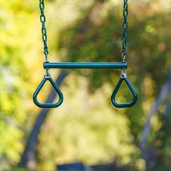 Lifetime 91137 9 Ft A-Frame Metal Swing Set Earthtone Kids Outdoor Playground