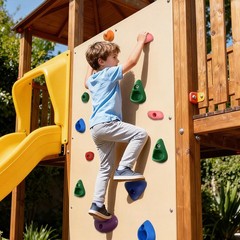32 PCS Rock Climbing Wall for Kids,Rock Wall Climbing Holds,Adults Climbing W…