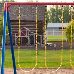 Lifetime 91022 Monkey Bar Adventure Swing Set Red Yellow Blue Outdoor Playground