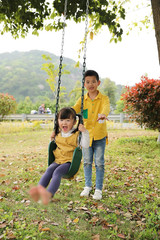 Heavy Duty Flexible Green Belt Swing with Coated Metal Chain