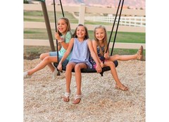 Lifetime 91079 Big Stuff Two-Slide Swing Set