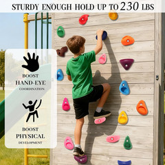 Rock Climbing Holds Set with Hardware for Kids Indoor Outdoor Playground Wall