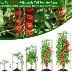 Halatool 72 Inch Tall Tomato Cages Heavy Duty, 4 Pack Metal Adjustable Plant Sup