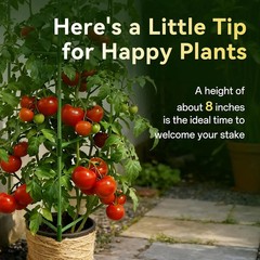 Halatool 6 Pack Tomato Cages for Graden 60 Inch, Adjustable Metal Tall Heavy Dut