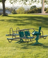 Lifetime Ace Flyer Teeter-Totter PRIMARY COLORS- for EARTHTONES Ask