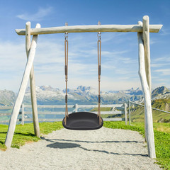 SELEWARE Heavy Duty Swing Seat for Adults Kids Tree Swing with Weather Proof Rop