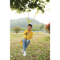 Wooden Swings with 4 Included Ropes, Tree Swing, Bar, Climbing Rope Ladder and S