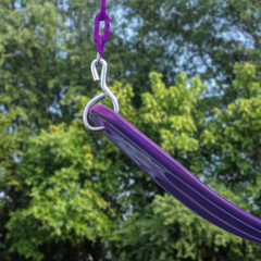 Extreme-Duty Plum Belt Swing with Purple Chains