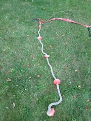 Over 50′ Of American Ninja Warrior Backyard Course Tree To Tree Or Post To Post