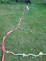 Over 50′ Of American Ninja Warrior Backyard Course Tree To Tree Or Post To Post